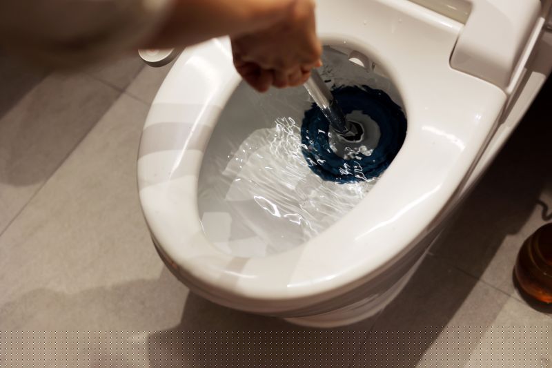 Toilet Plunging